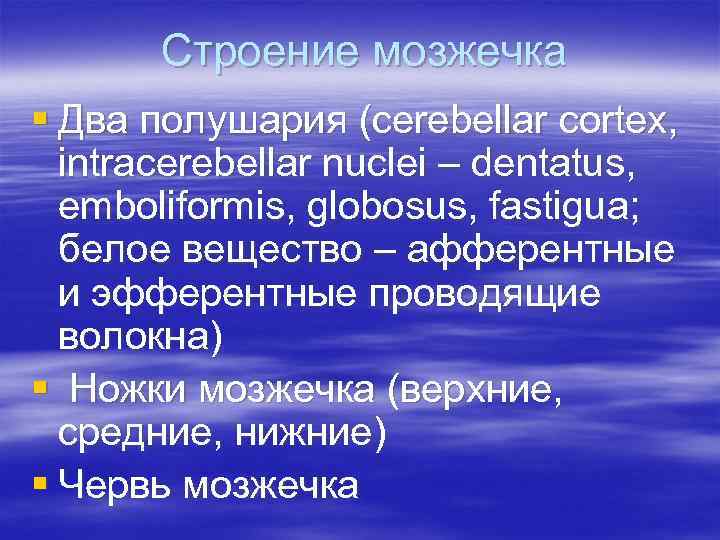 Строение мозжечка § Два полушария (cerebellar cortex, intracerebellar nuclei – dentatus, emboliformis, globosus, fastigua;