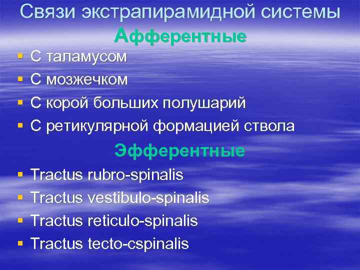 Связи экстрапирамидной системы Афферентные § § С таламусом С мозжечком С корой больших полушарий