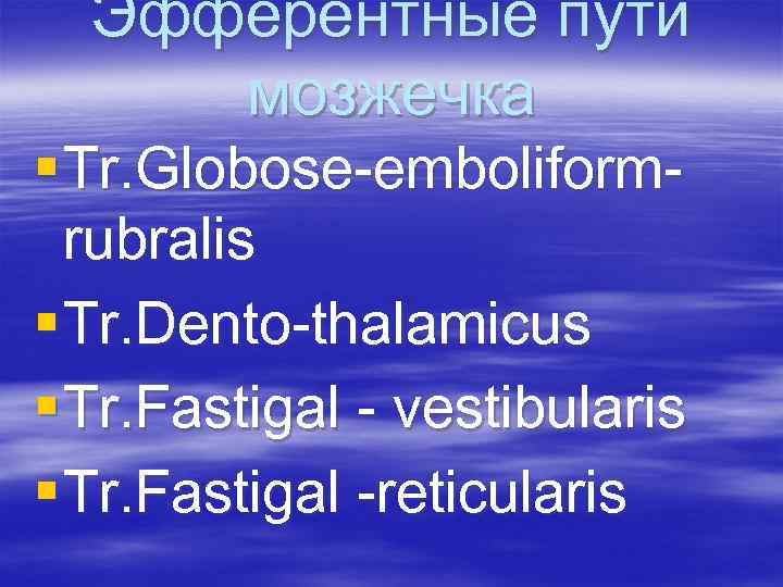 Эфферентные пути мозжечка § Tr. Globose-emboliformrubralis § Tr. Dento-thalamicus § Tr. Fastigal - vestibularis