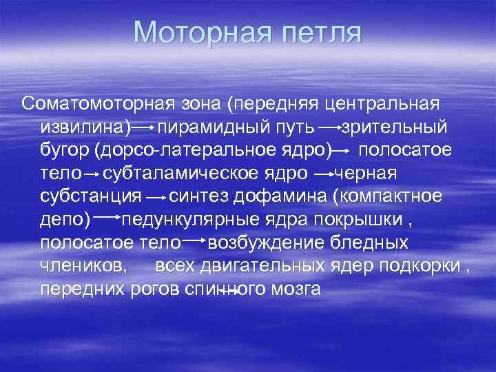 Моторная петля Соматомоторная зона (передняя центральная извилина) пирамидный путь зрительный бугор (дорсо-латеральное ядро) полосатое