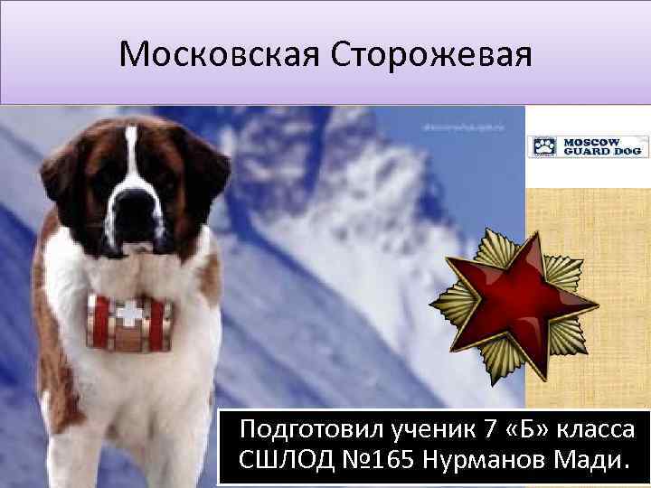 Московская Сторожевая Подготовил ученик 7 «Б» класса СШЛОД № 165 Нурманов Мади. 