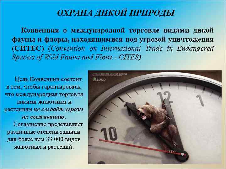 ОХРАНА ДИКОЙ ПРИРОДЫ Конвенция о международной торговле видами дикой фауны и флоры, находящимися под