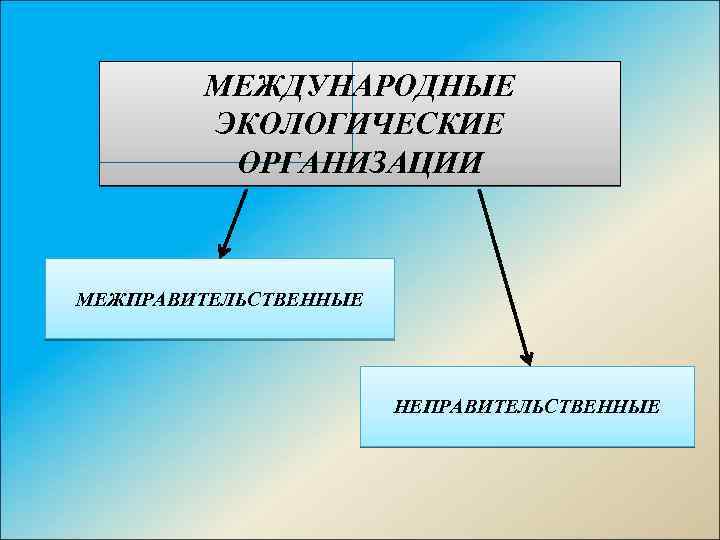 МЕЖДУНАРОДНЫЕ ЭКОЛОГИЧЕСКИЕ ОРГАНИЗАЦИИ МЕЖПРАВИТЕЛЬСТВЕННЫЕ НЕПРАВИТЕЛЬСТВЕННЫЕ 
