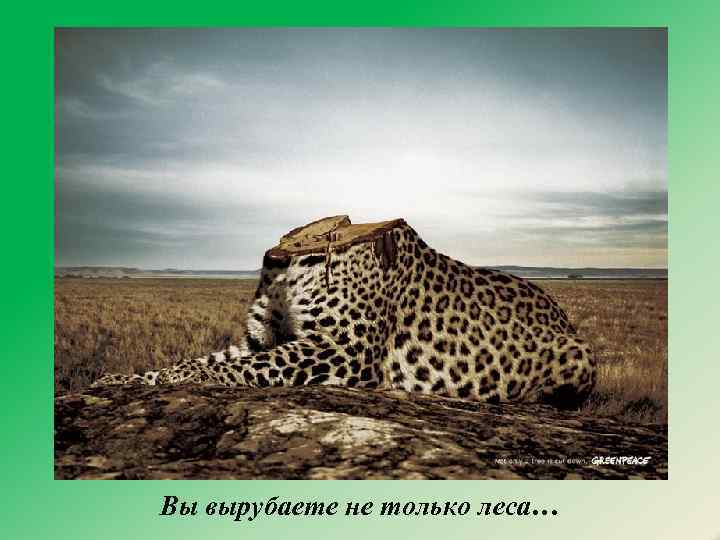 Вы вырубаете не только леса… 