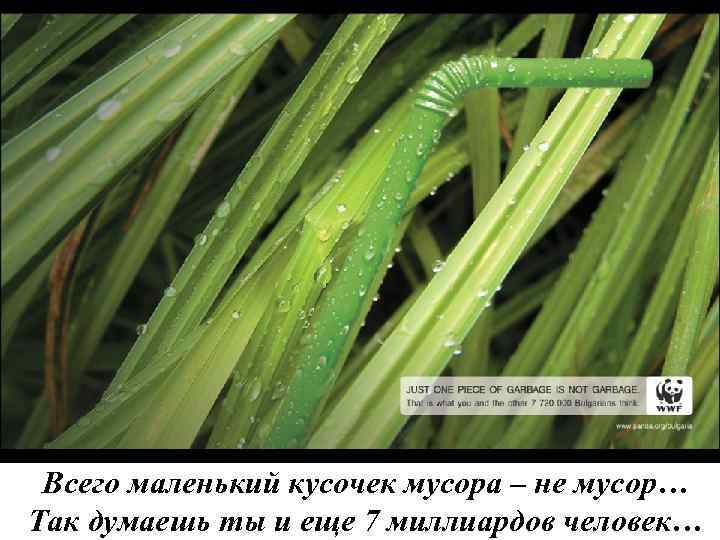Всего маленький кусочек мусора – не мусор… Так думаешь ты и еще 7 миллиардов