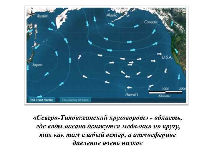  «Северо Тихоокеанский круговорот» область, где воды океана движутся медленно по кругу, так как
