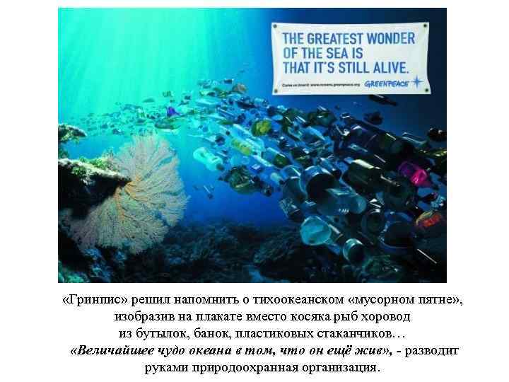 «Гринпис» решил напомнить о тихоокеанском «мусорном пятне» , изобразив на плакате вместо косяка