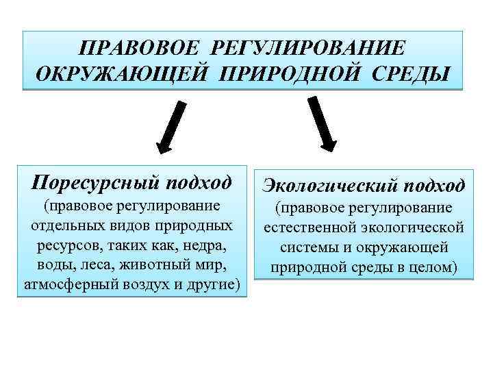 ПРАВОВОЕ РЕГУЛИРОВАНИЕ ОКРУЖАЮЩЕЙ ПРИРОДНОЙ СРЕДЫ Поресурсный подход (правовое регулирование отдельных видов природных ресурсов, таких