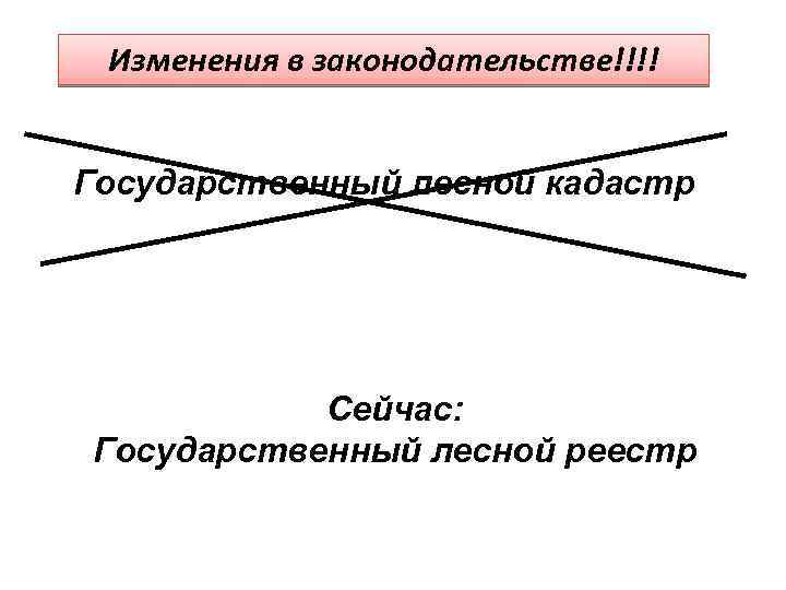 Изменения в законодательстве!!!! Государственный лесной кадастр Сейчас: Государственный лесной реестр 