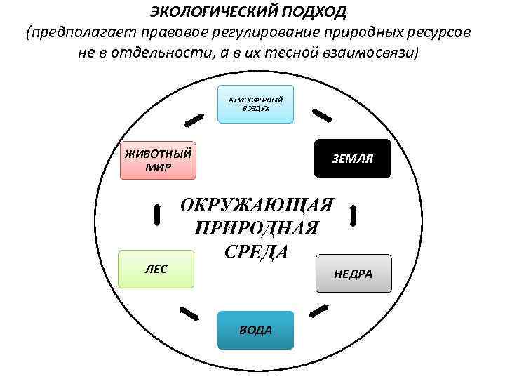 Экологический подход