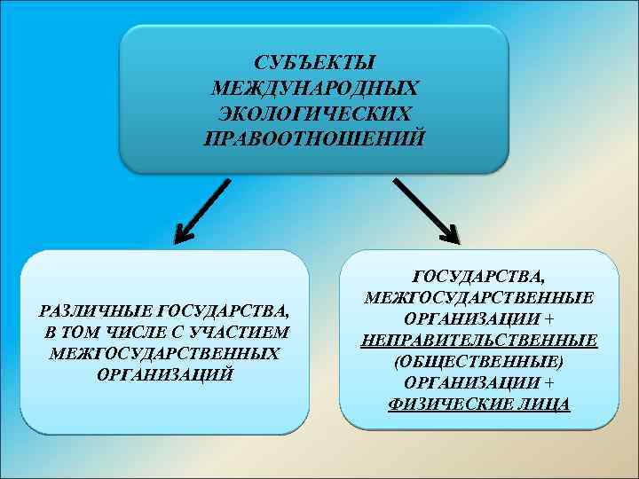 СУБЪЕКТЫ МЕЖДУНАРОДНЫХ ЭКОЛОГИЧЕСКИХ ПРАВООТНОШЕНИЙ РАЗЛИЧНЫЕ ГОСУДАРСТВА, В ТОМ ЧИСЛЕ С УЧАСТИЕМ МЕЖГОСУДАРСТВЕННЫХ ОРГАНИЗАЦИЙ ГОСУДАРСТВА,
