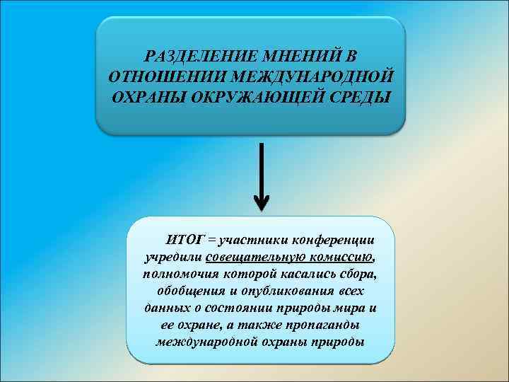 РАЗДЕЛЕНИЕ МНЕНИЙ В ОТНОШЕНИИ МЕЖДУНАРОДНОЙ ОХРАНЫ ОКРУЖАЮЩЕЙ СРЕДЫ ИТОГ = участники конференции учредили совещательную