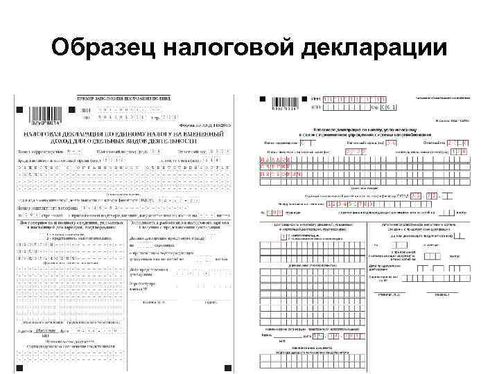 Образец налоговой декларации 