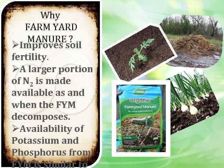 Why FARM YARD MANURE ? ØImproves soil fertility. ØA larger portion of N 2