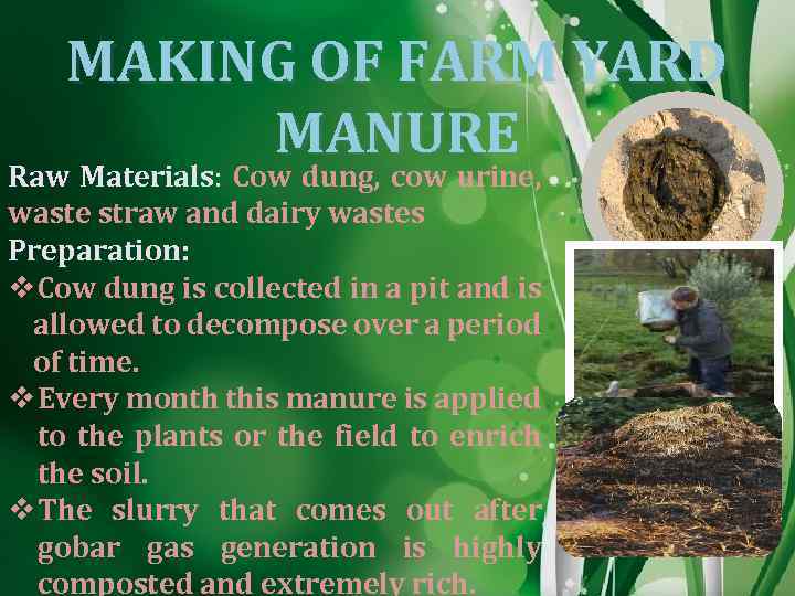 MAKING OF FARM YARD MANURE Raw Materials: Cow dung, cow urine, waste straw and