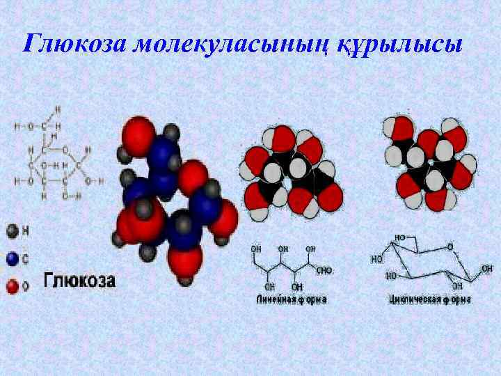 Глюкоза молекуласының құрылысы 