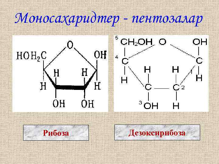 Рибоза глюкоза дезоксирибоза. Глюкоза и рибоза. Формулы рибозы Глюкозы дезоксирибозы. Строение бета 2 дезоксирибоза.