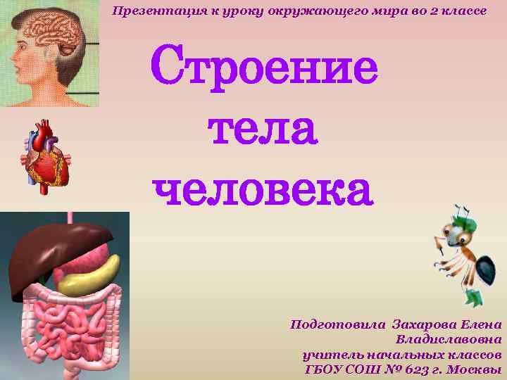 Презентация к уроку окружающего мира во 2 классе Строение тела человека Подготовила Захарова Елена
