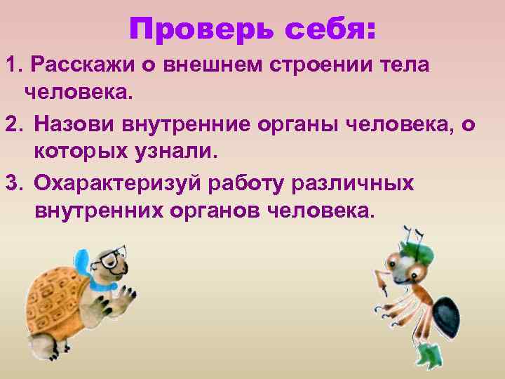 Проверь себя: 1. Расскажи о внешнем строении тела человека. 2. Назови внутренние органы человека,