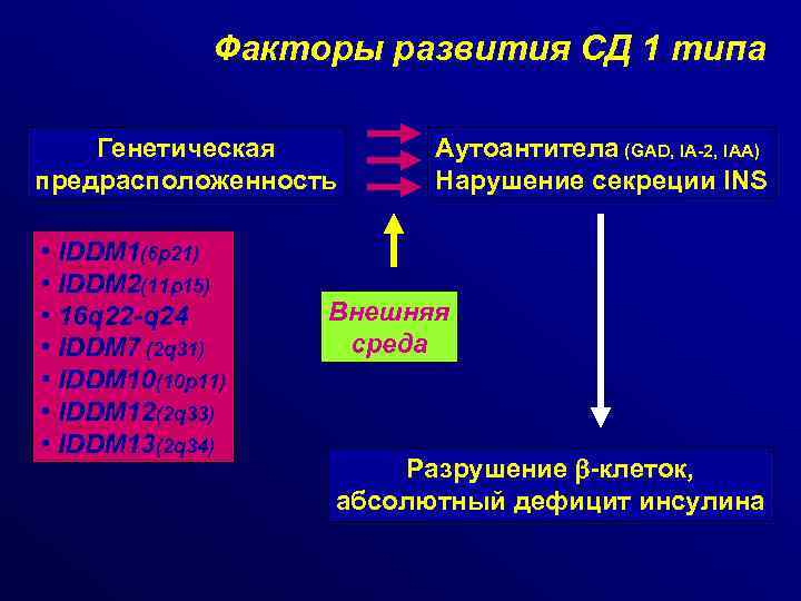 Факторы развития СД 1 типа Генетическая предрасположенность • IDDM 1(6 p 21) • IDDM