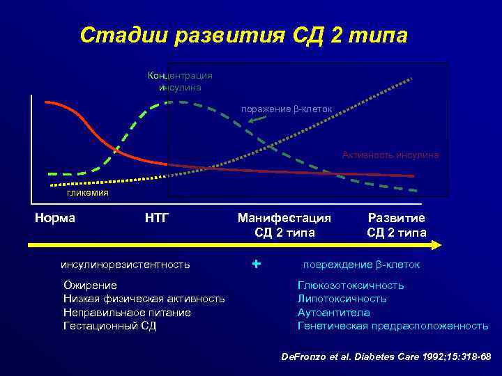 Стадии развития СД 2 типа Концентрация инсулина поражение -клеток Активность инсулина гликемия Норма НТГ