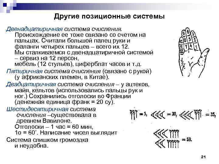 Другие позиционные системы Двенадцатиричная система счисления. Происхождение ее тоже связано со счетом на пальцах.