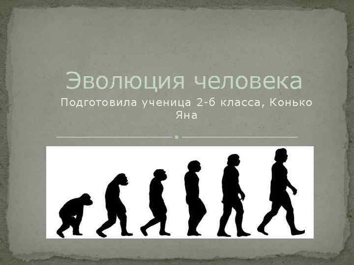 Эволюция человека Подготовила ученица 2 -б класса, Конько Яна 