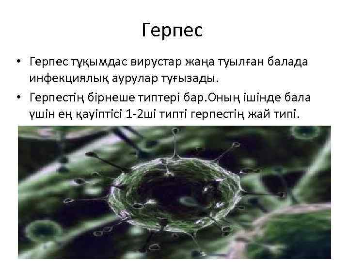 Герпес • Герпес тұқымдас вирустар жаңа туылған балада инфекциялық аурулар туғызады. • Герпестің бірнеше