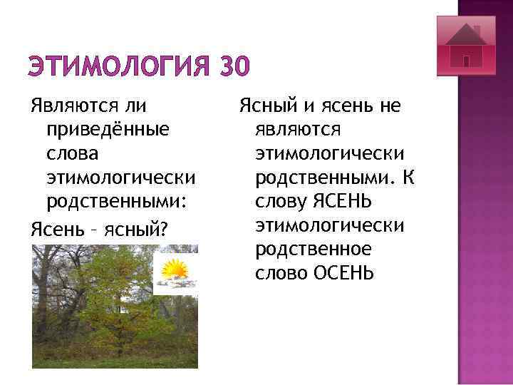 ЭТИМОЛОГИЯ 30 Являются ли приведённые слова этимологически родственными: Ясень – ясный? Ясный и ясень