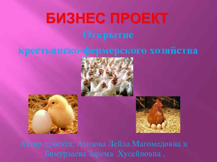 БИЗНЕС ПРОЕКТ Открытие крестьянско-фермерского хозяйства Автор проекта: Азизова Лейла Магомедовна и Бимурзаева Зарема Хусейновна.