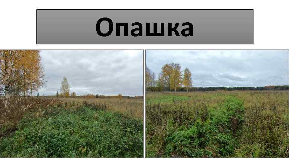 Опашка 