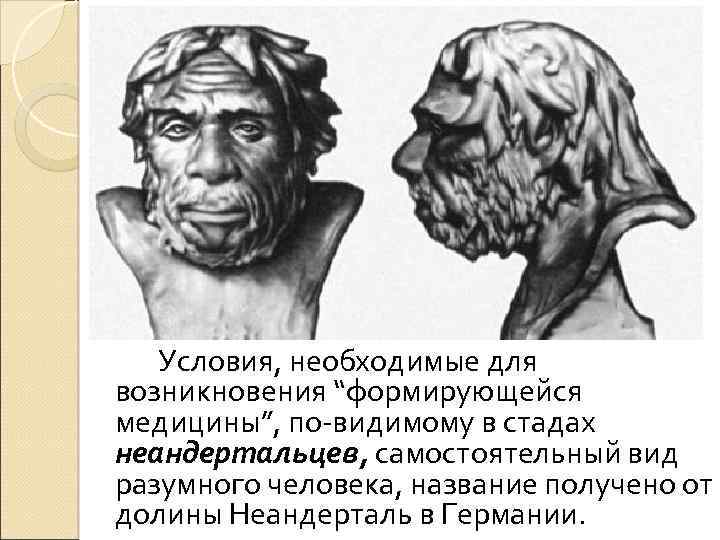 Условия, необходимые для возникновения “формирующейся медицины”, по-видимому в стадах неандертальцев, самостоятельный вид разумного человека,