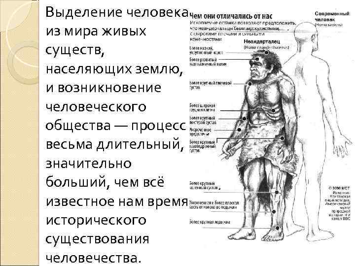 Выделение человека из мира живых существ, населяющих землю, и возникновение человеческого общества — процесс