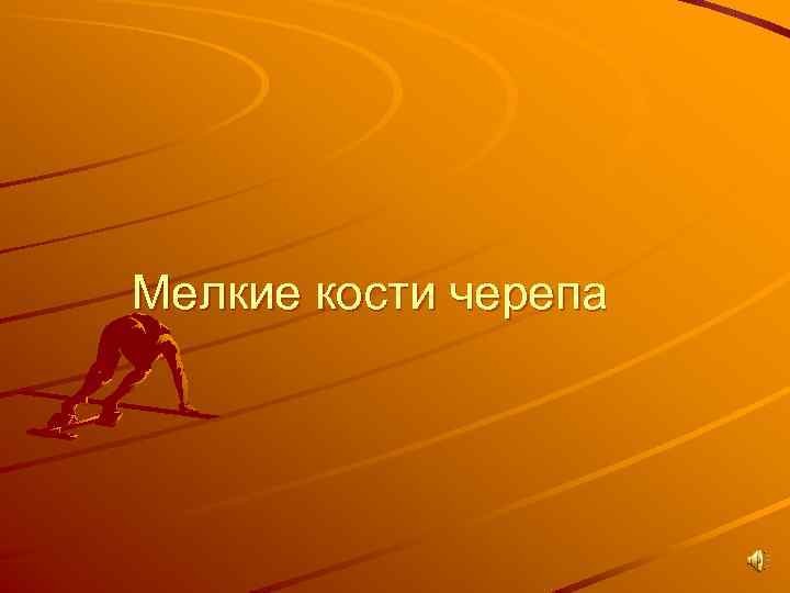Мелкие кости черепа 