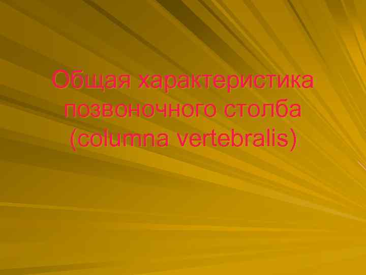 Общая характеристика позвоночного столба (columna vertebralis) 