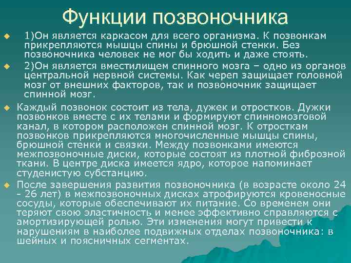 Функции позвоночника u u 1)Он является каркасом для всего организма. К позвонкам прикрепляются мышцы