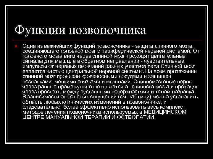 Функции позвоночника n Одна из важнейших функций позвоночника - защита спинного мозга, соединяющего головной