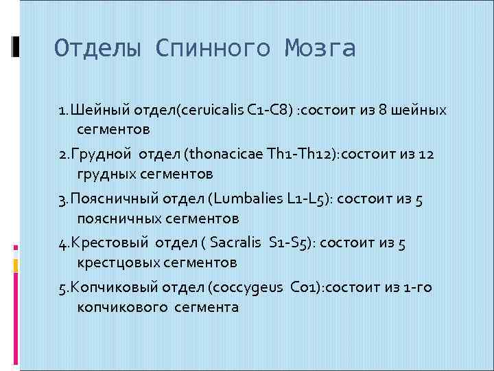 Отделы Спинного Мозга 1. Шейный отдел(ceruicalis C 1 -C 8) : состоит из 8