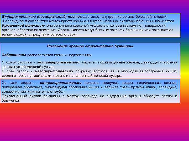 Внутренностный (висцеральный) листок выстилает внутренние органы брюшной полости. Щелевидное пространство между пристеночным и внутренностным