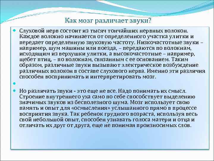 Как мозг различает звуки? Слуховой нерв состоит из тысяч тончайших нервных волокон. Каждое волокно