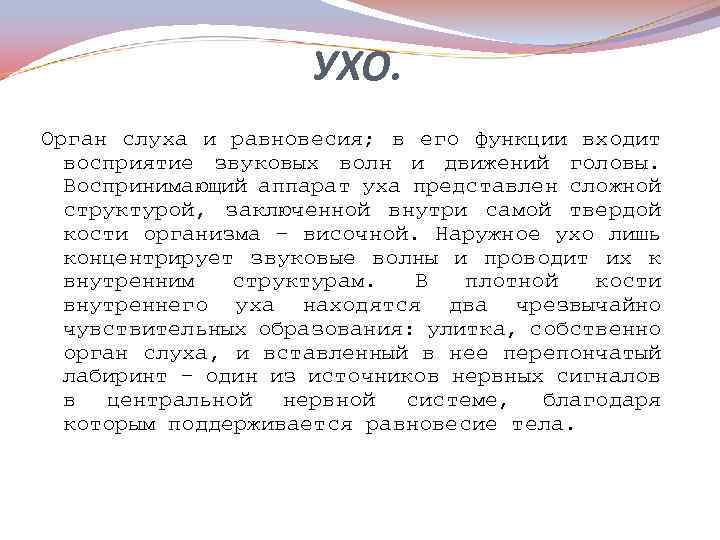 УХО. Орган слуха и равновесия; в его функции входит восприятие звуковых волн и движений