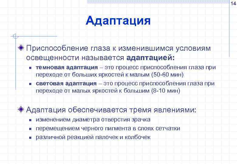 14 Адаптация Приспособление глаза к изменившимся условиям освещенности называется адаптацией: n n темновая адаптация