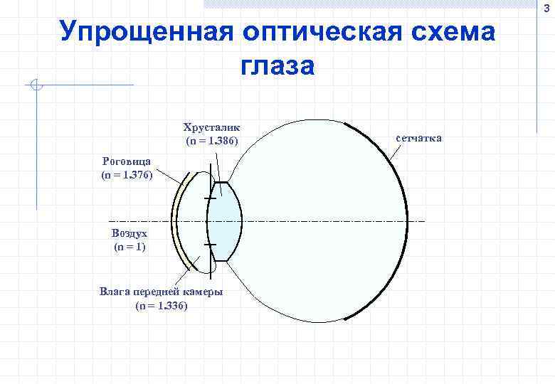 3 Упрощенная оптическая схема глаза Хрусталик (n = 1. 386) сетчатка Роговица (n =