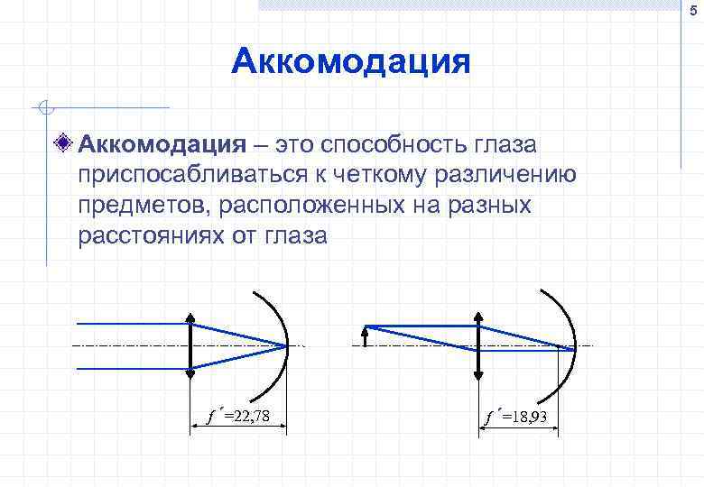 5 Аккомодация – это способность глаза приспосабливаться к четкому различению предметов, расположенных на разных