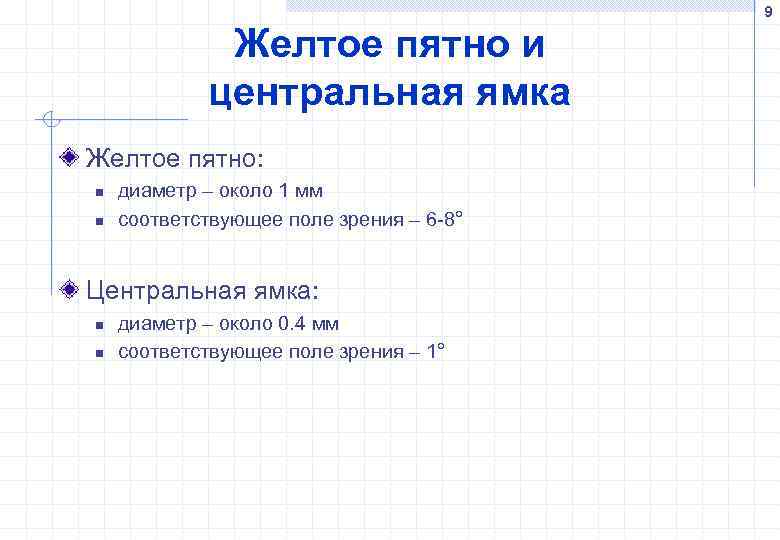 9 Желтое пятно и центральная ямка Желтое пятно: n n диаметр – около 1