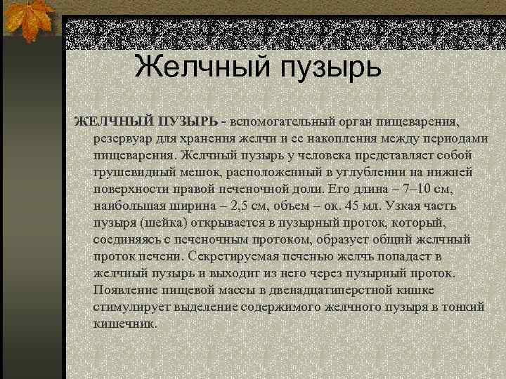 Желчный пузырь ЖЕЛЧНЫЙ ПУЗЫРЬ - вспомогательный орган пищеварения, резервуар для хранения желчи и ее