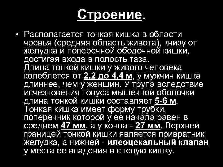 Строение. • Располагается тонкая кишка в области чревья (средняя область живота), книзу от желудка