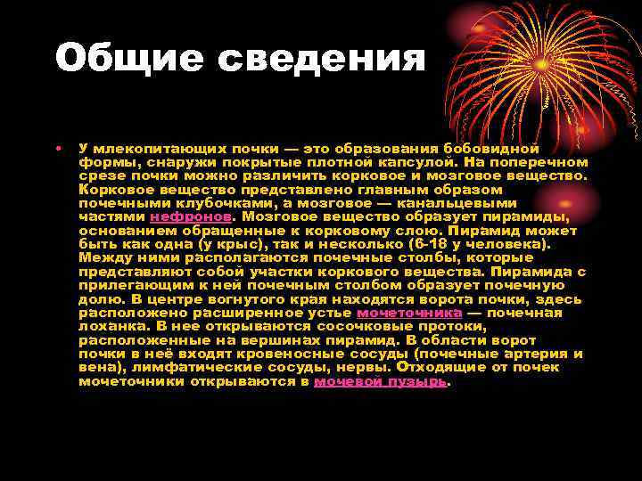 Общие сведения • У млекопитающих почки — это образования бобовидной формы, снаружи покрытые плотной