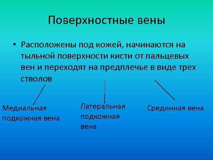Поверхностные вены • Расположены под кожей, начинаются на тыльной поверхности кисти от пальцевых вен