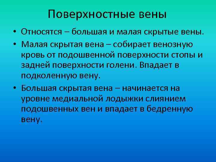 Поверхностные вены • Относятся – большая и малая скрытые вены. • Малая скрытая вена